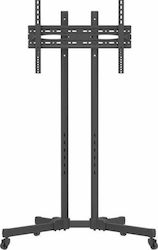 Focus Mount Fixed T176 240033 Floor TV Mount Up To 65"