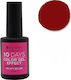 Bioshev Professional 10 Days Color Gel Effect G...