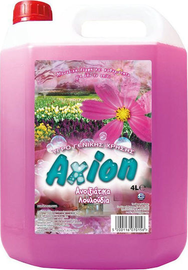 Axion mit Frühlingsblumenduft Frühlingsblumen Frühlingsblumen 1x4l AX-GU-4LT/FL