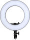 Godox Ring Light 30cm 3300 - 5600K cu Suport pentru Mobil