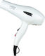 ID Italian GTI2600 Plus Passion Professionell H...