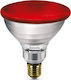 Philips Инфрачервена крушка 175W за фасунга E27
