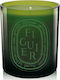 Diptyque Aromatic Candle in Jar with Green Figuier Perfume Green 300g