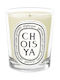 Diptyque Aromatisches Kerze in Gefäß mit Parfüm Choisya Ecru 190gr