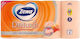 Zewa Delux Peach 8 Rollen 3 Blätter 100gr