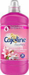 Cajoline Condensed Fabric Softener Creations Λίλιουμ & Φρούτα του Δάσους 56 Measuring Cups