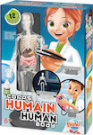 Buki Corps Humain STEM Laboratory for 8+ Years Old