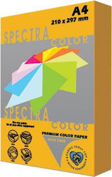 Spectra Color Printing Paper A4 160gr/m² 250 sheets Orange