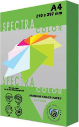 Spectra Color Paper A4 80gr/m² 500 sheets Parrot