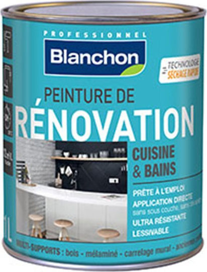 Blanchon Renovation Plastic Paint for Interior Use Black 500ml