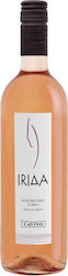 Cavino Ίριδα Ροζέ Ξηρό 750ml
