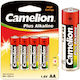 Camelion Plus Αλκαλικές Μπαταρίες AA 1.5V 20τμχ