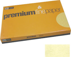 Premium Fine Paper Κρεμ 180gr/m² A4 125 φύλλα