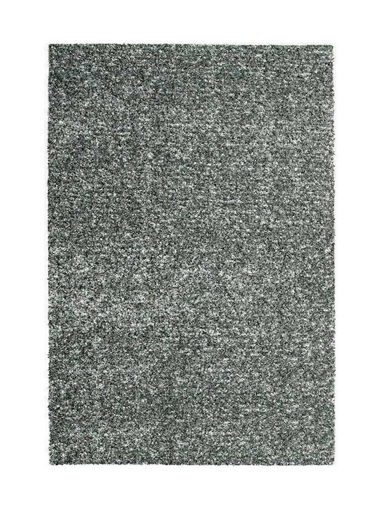 Ragolle Spectrum 080-0001 4656 Rug Rectangular Green