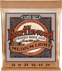 Ernie Ball Earthwood Ernie Ball Earthwood
