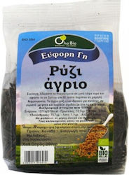 Όλα Bio Βιολογικό Ρύζι Άγριο 200gr