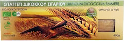 HealthTrade Spaghetti Nr 6 Nr 6 Doppelter Korngeschmack Bio-Produkt 400g