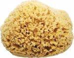 Beauty Spring Classic Bath Sponge Beige