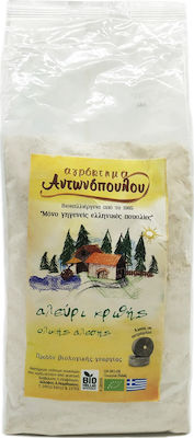 Αγρόκτημα Αντωνόπουλου Biologic Făină Orz Integrală (1x 1kg ) 1kg