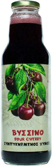 HealthTrade Kirsche Zuckerfrei 750ml 1Stück SIR10
