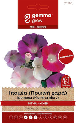 Gemma Seeds Ipomoea 2gr/70pcs Polychrome