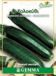 Gemma Seeds Pumpkinς Zucchini 5gr/40pcs