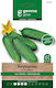 Gemma Seeds Cucumber 4gr/120pcs