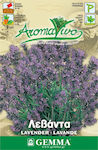 Gemma Seeds Lavenderς 0.5gr/475pcs Purple