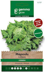 Gemma Seeds Lettuce Iceberg 6.5gr/4550pcs