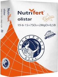 Ελλαγρολιπ Granular Fertilizer Nutrifert Olistar 19-6-15 25kg