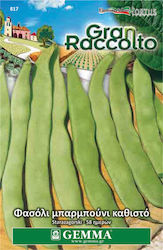 Gemma Seeds Bean Barbouni 65gr/65pcs