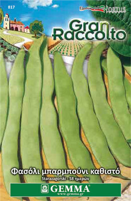 Gemma Seeds Beans 65gr/65pcs