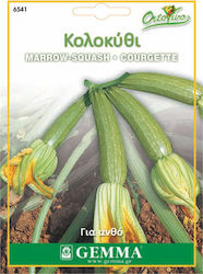 Gemma Σπόροι Κολοκυθιού για Ανθό 5gr/30τμχ