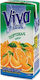 Viva Νέκταρ Πορτοκάλι 250ml