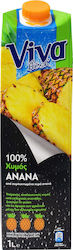 Viva Ananas Zuckerfrei 1000ml 1Stück
