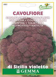 Gemma Seeds Cauliflower 2gr/1000pcs