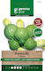 Gemma Seeds Pumpkinς Zucchini 5gr/30pcs