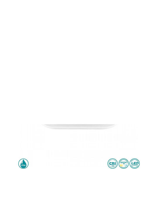 Spot Light Επιτοίχια Χελώνα Εξωτερική LED IP54 15W με Φυσικό Λευκό Φως