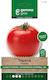 Gemma Seeds Tomatoς 1.5gr/450pcs