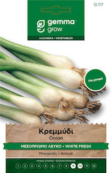 Gemma Bulbs Onion 4.5gr/1125pcs