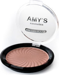 Amy's Cosmetics Compact Rouge 10gr 1014311