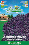 Gemma Seeds Sweet Alyssum 0.8gr/800pcs Purple