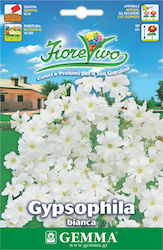 Gemma Semințe Gypsophila 25gr/2500buc Alb