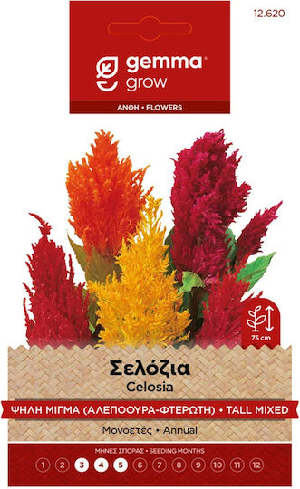 Gemma Samen Celosia Mehrfarbig 0.6gr/780Stück
