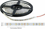 Spot Light Waterproof LED Strip Power Supply 12V with Warm White Light Length 5m and 60 LEDs per Meter SMD5050