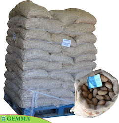 Gemma Potato Seed 25kg