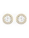Swarovski Angelic Stud Earrings Gold Plated with Stones