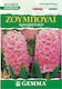 Gemma Bulbi Hyacinthus 2buc Magazin online