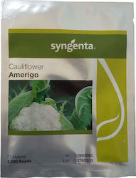 Syngenta Seeds Cauliflower 2500pcs