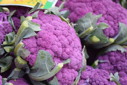 Syngenta Seeds Cauliflower 2500pcs